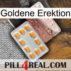 Golden Erection new13